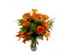 Autumn Roses
